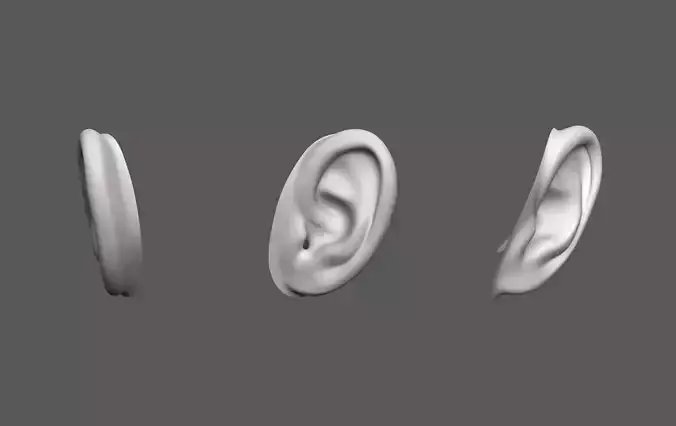 Ear Human