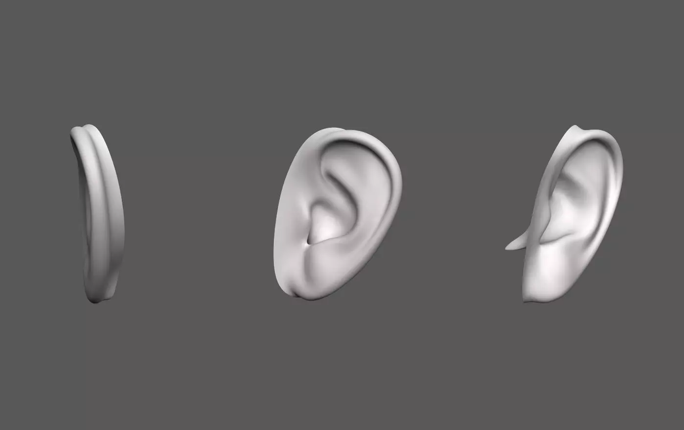 Ear Human 3D model_0