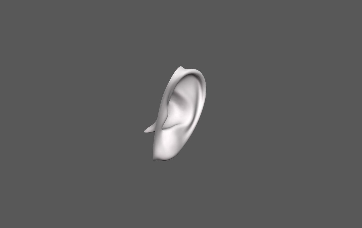 Ear Human 3D model_3