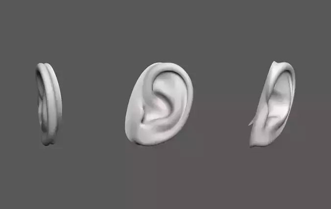 Ear Human