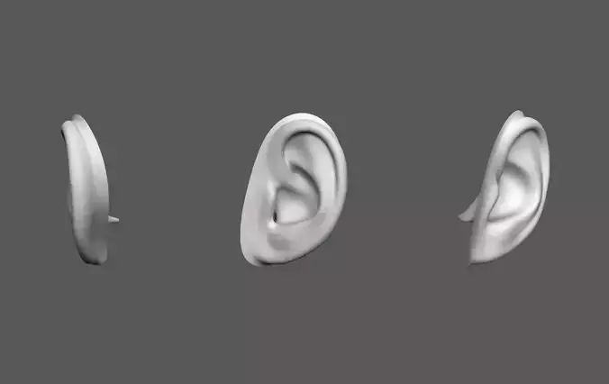 Ear Human Low-poly 3D model