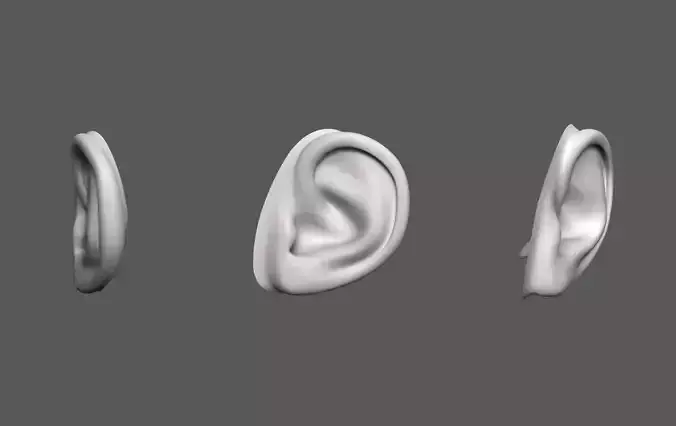 Ear Human
