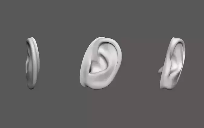 Ear Human