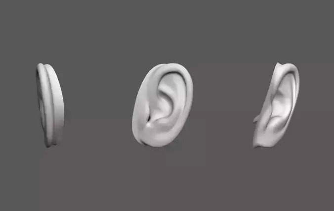 Ear Human