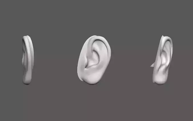 Ear Human Low-poly 3D model