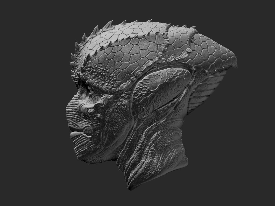 ENEMY MINE DRAC custom head 3D print model_2
