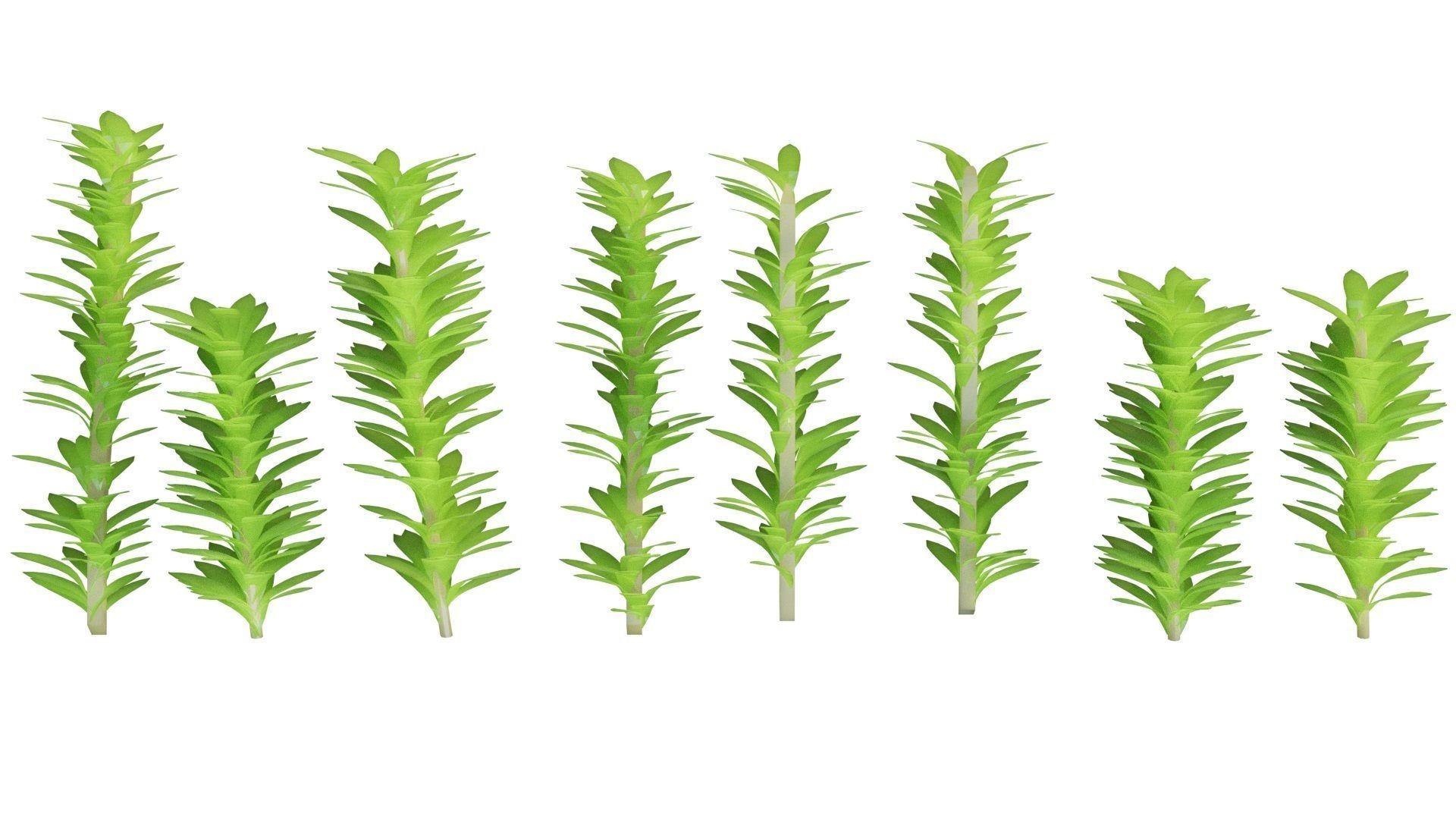 Japanese Toro Lantern 3D model_7