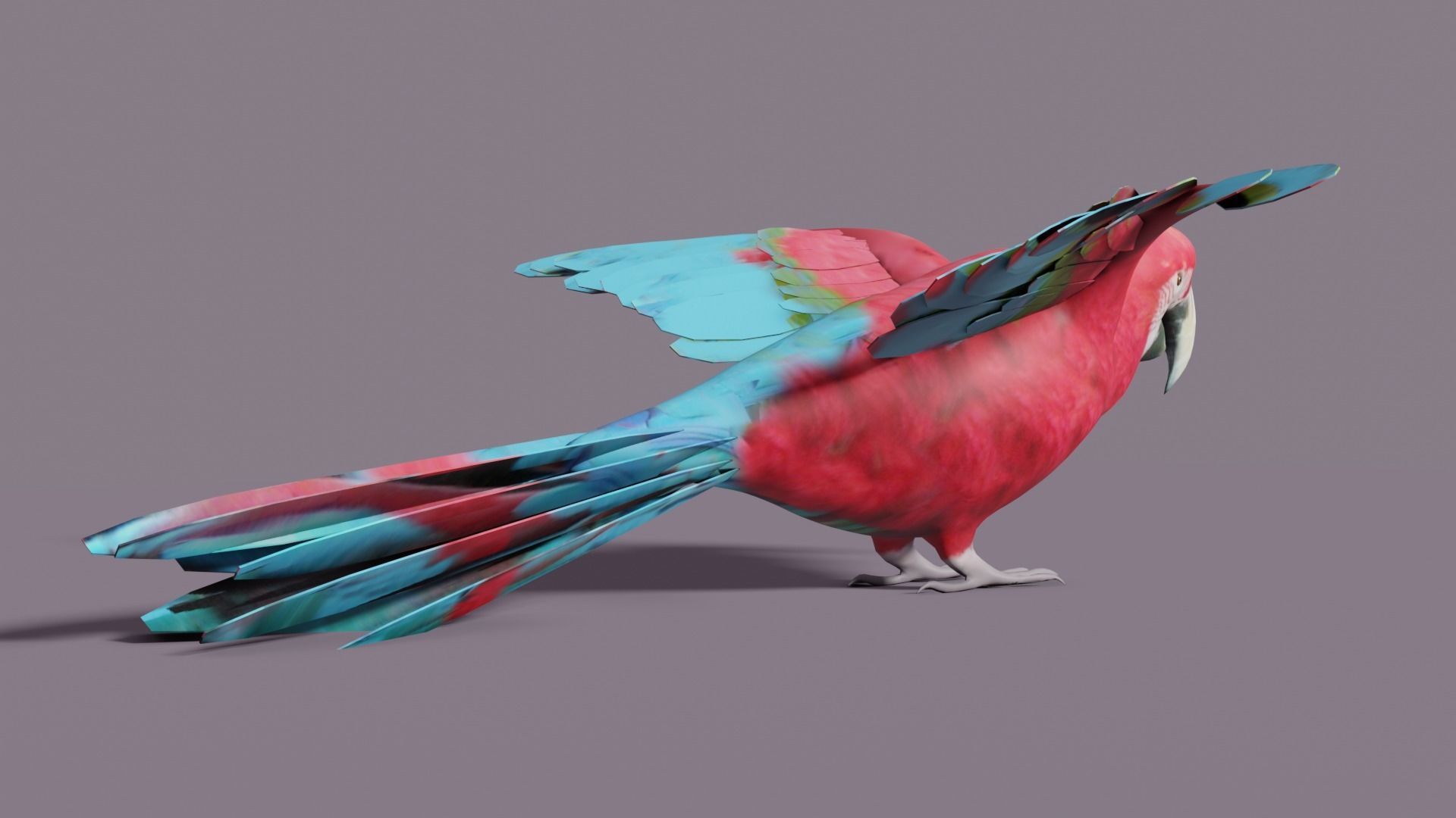 MACAW LOWPOLY parrot with wings spread Low-poly 3D model_8