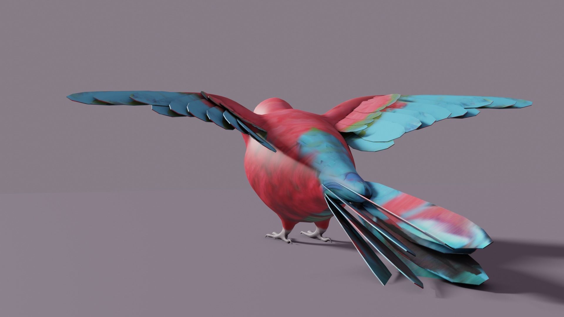 MACAW LOWPOLY parrot with wings spread Low-poly 3D model_10