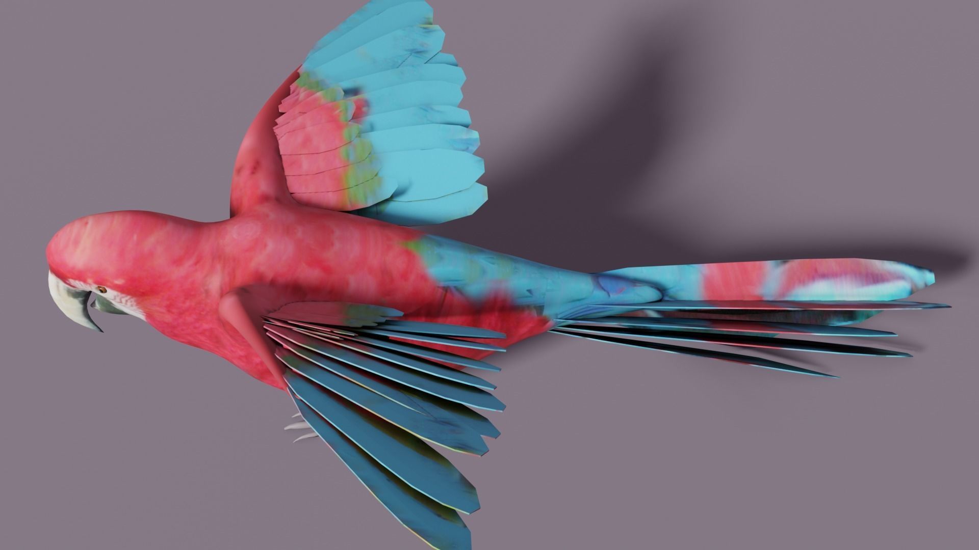 MACAW LOWPOLY parrot with wings spread Low-poly 3D model_13
