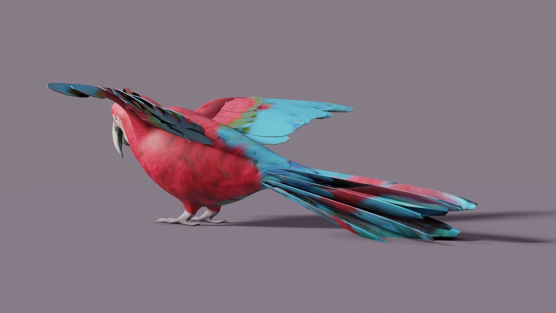 MACAW LOWPOLY parrot with wings spread Low-poly 3D model_12