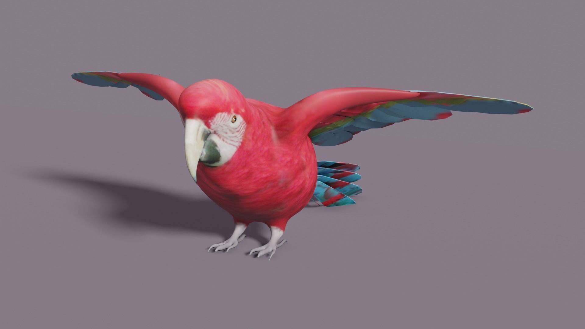 MACAW LOWPOLY parrot with wings spread Low-poly 3D model_16