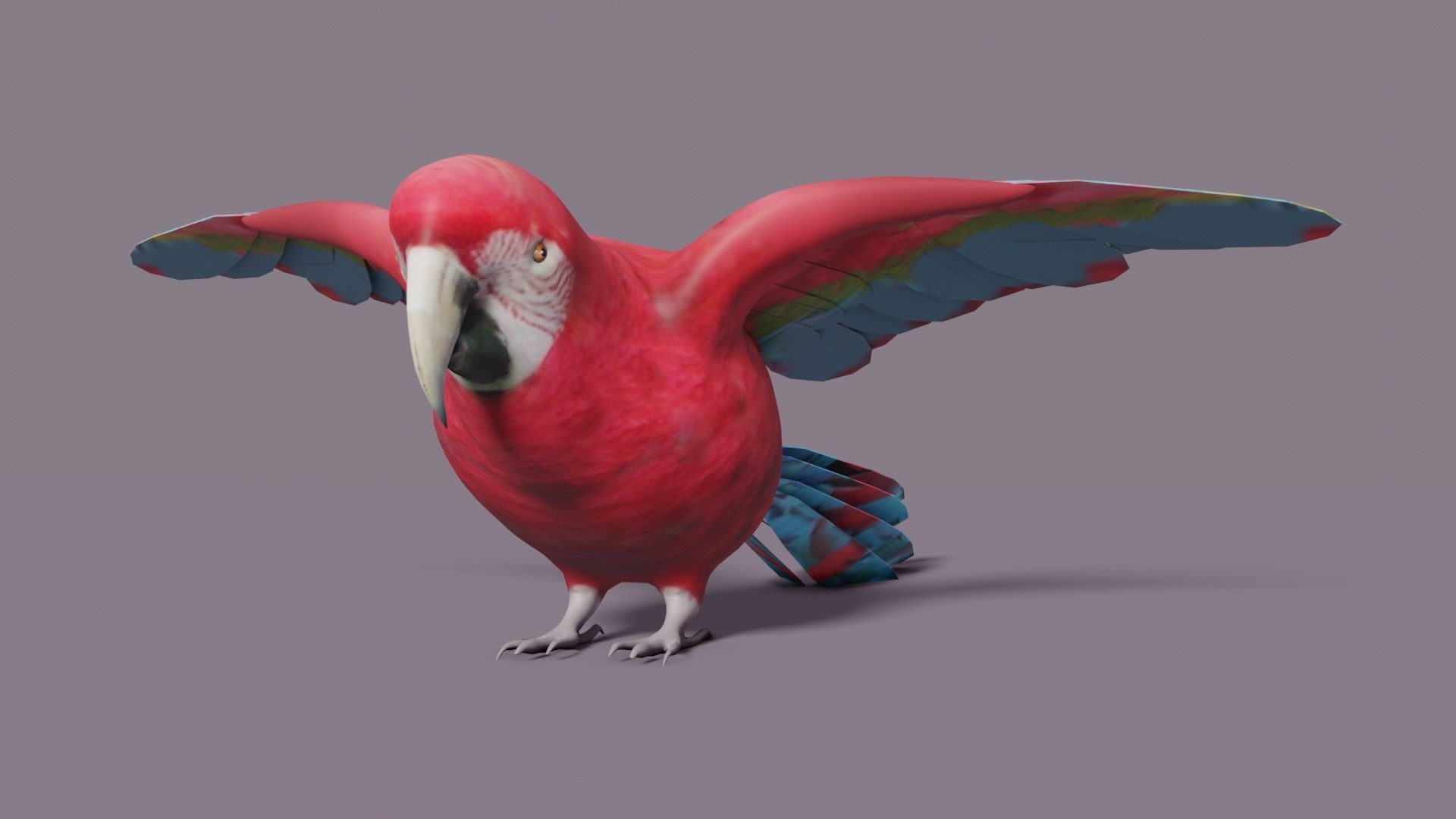 MACAW LOWPOLY parrot with wings spread Low-poly 3D model_23