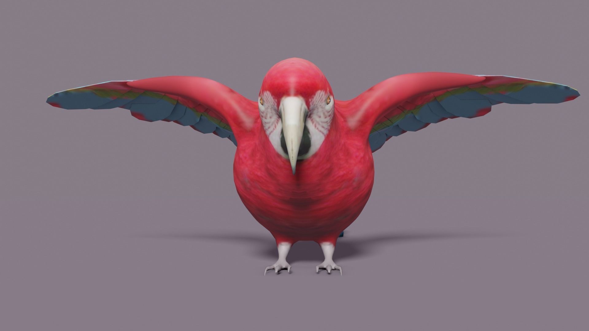 MACAW LOWPOLY parrot with wings spread Low-poly 3D model_24