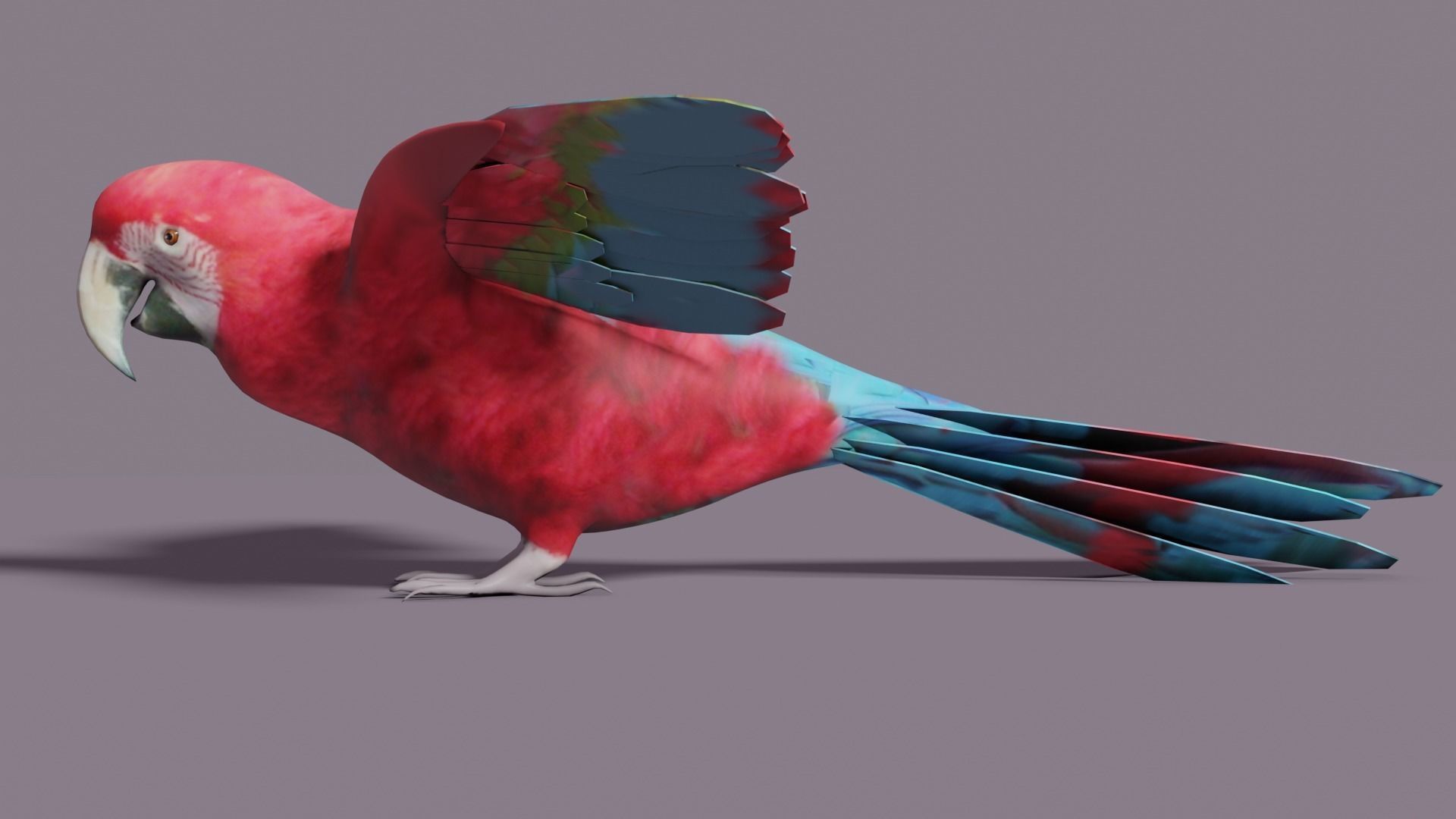 MACAW LOWPOLY parrot with wings spread Low-poly 3D model_18