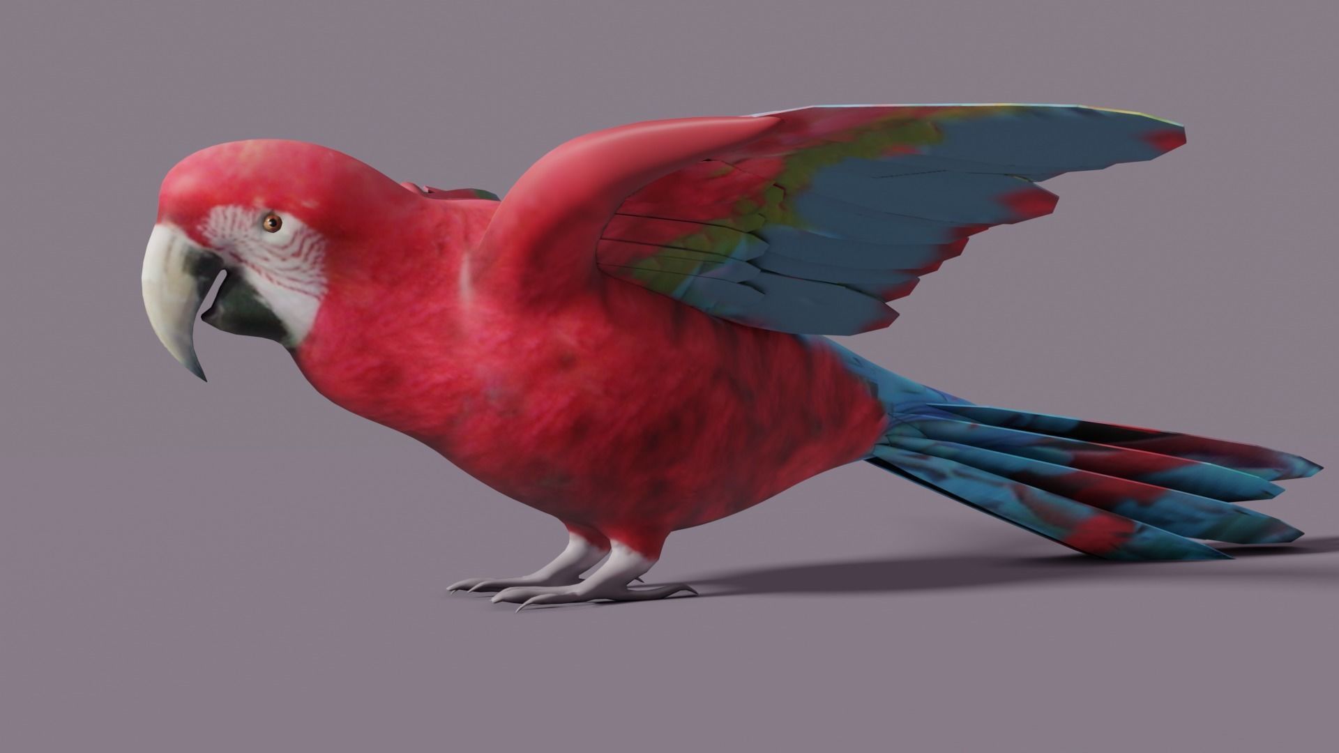 MACAW LOWPOLY parrot with wings spread Low-poly 3D model_22