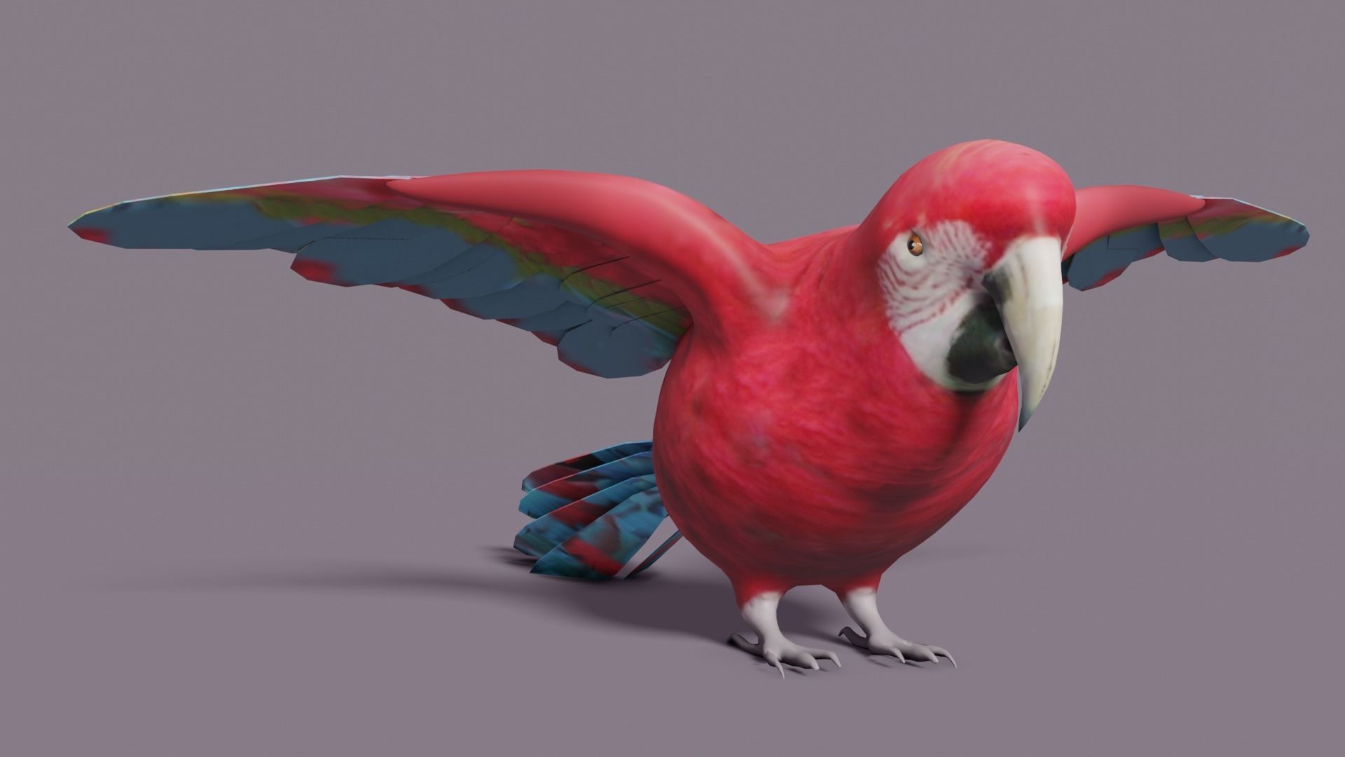 MACAW LOWPOLY parrot with wings spread Low-poly 3D model_25