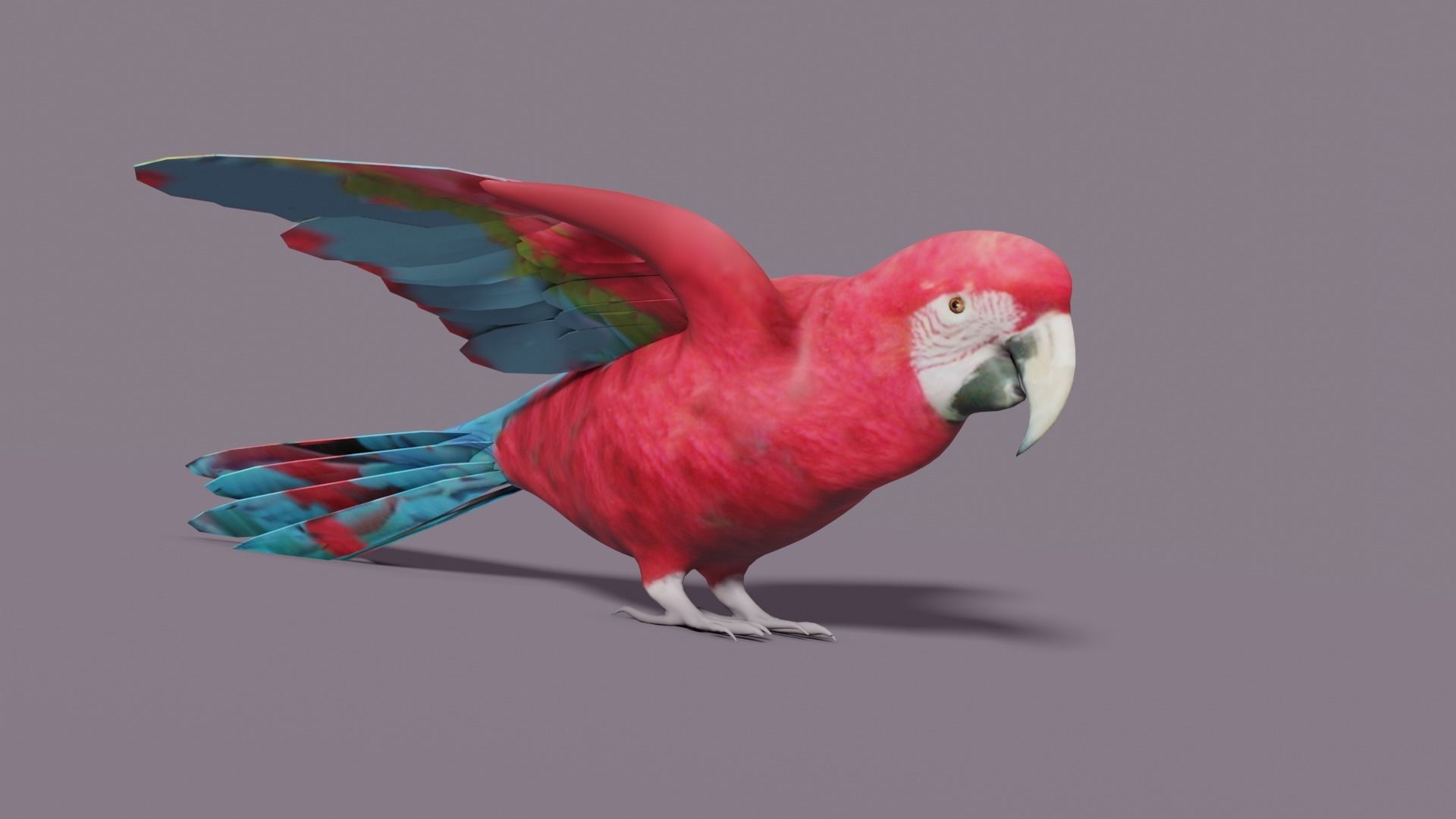 MACAW LOWPOLY parrot with wings spread Low-poly 3D model_21