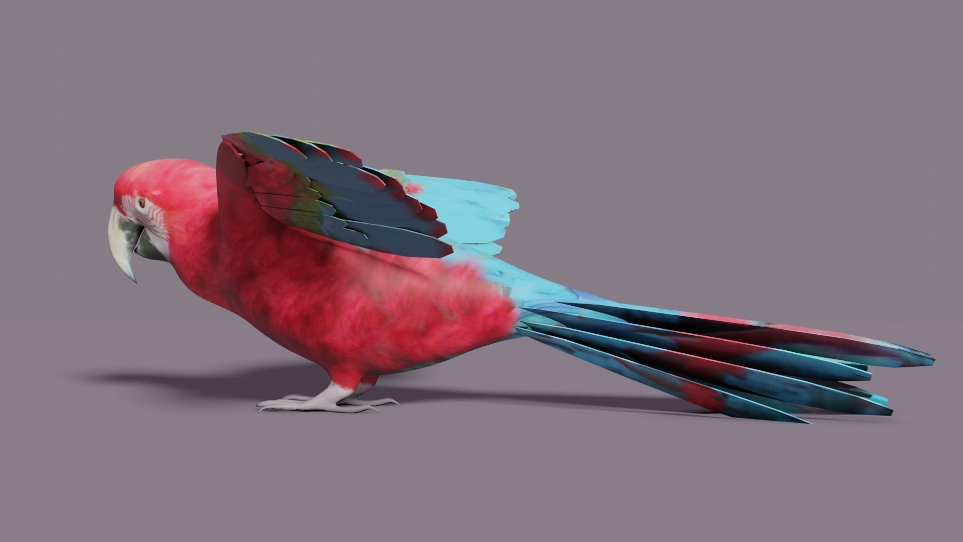 MACAW LOWPOLY parrot with wings spread Low-poly 3D model_4