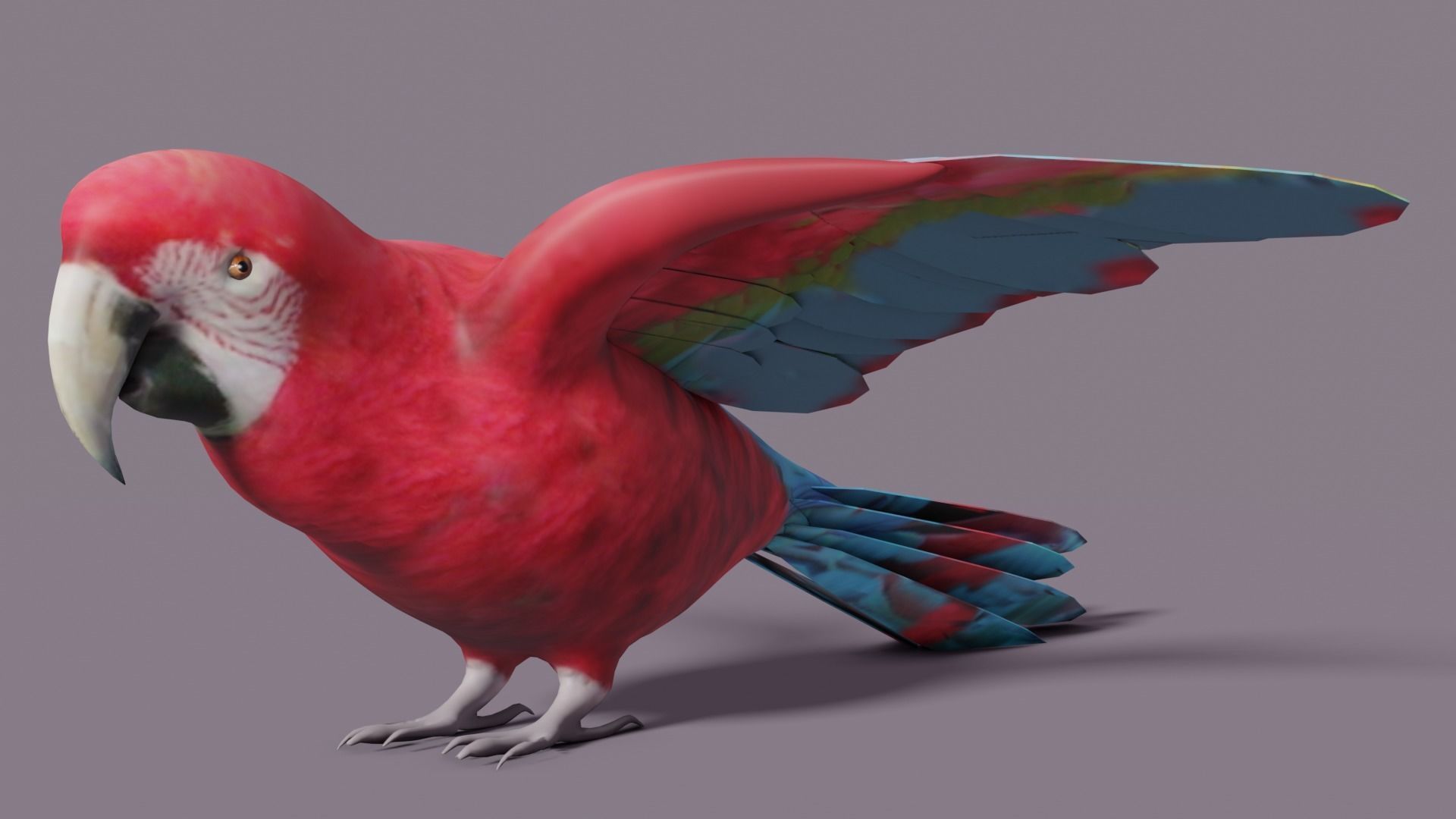 MACAW LOWPOLY parrot with wings spread Low-poly 3D model_2