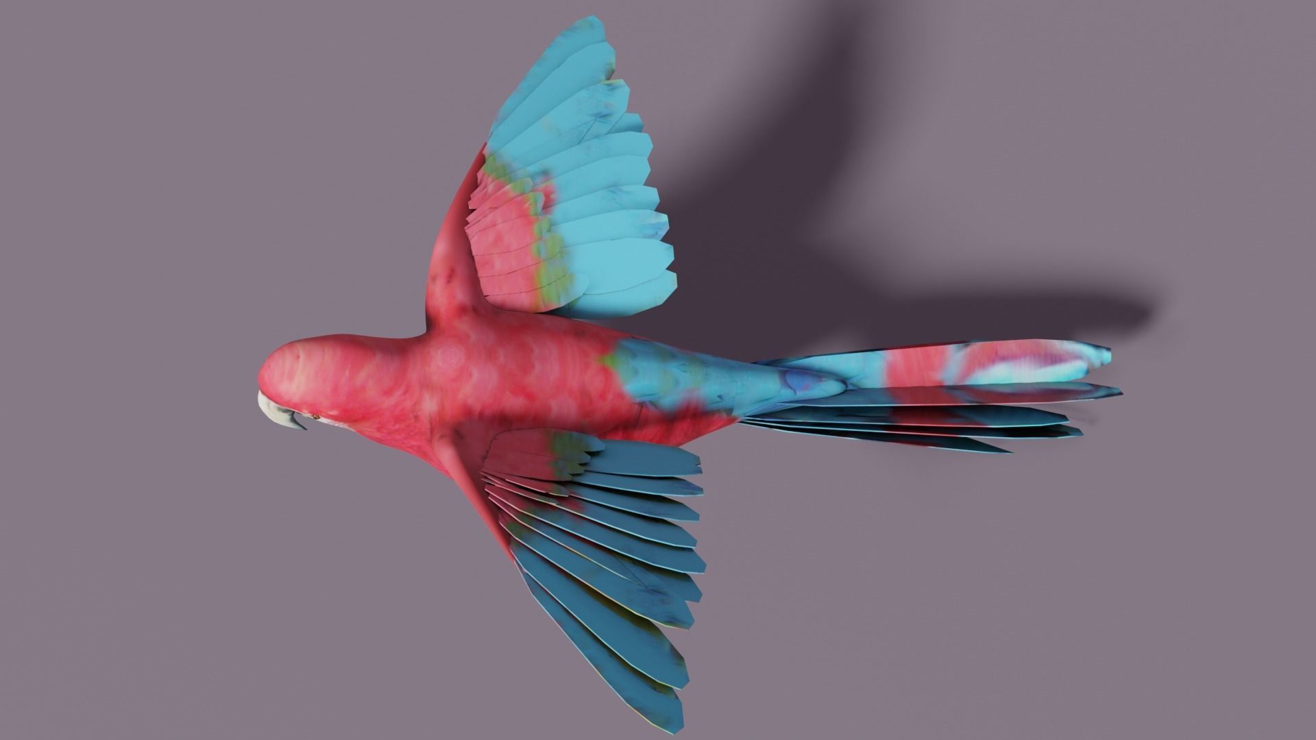 MACAW LOWPOLY parrot with wings spread Low-poly 3D model_15