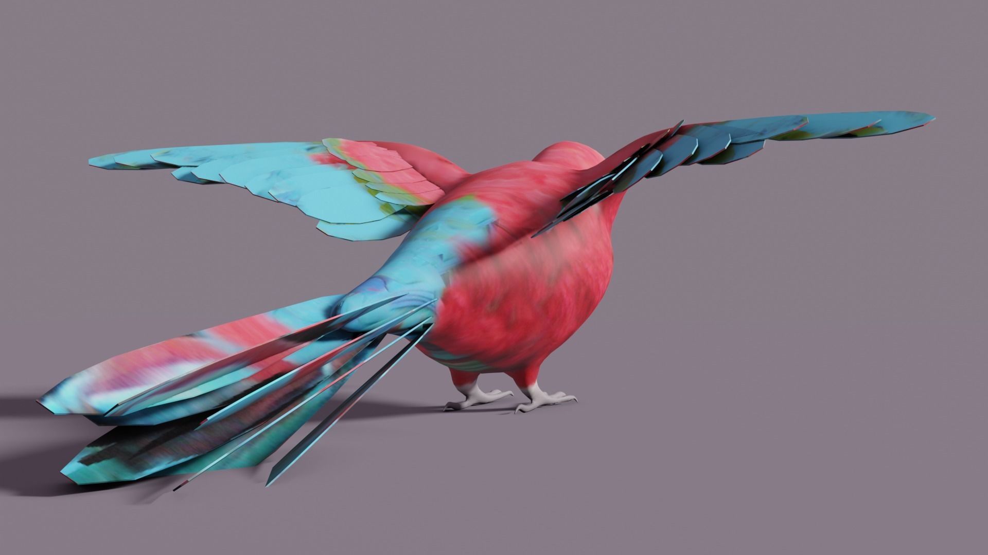 MACAW LOWPOLY parrot with wings spread Low-poly 3D model_9