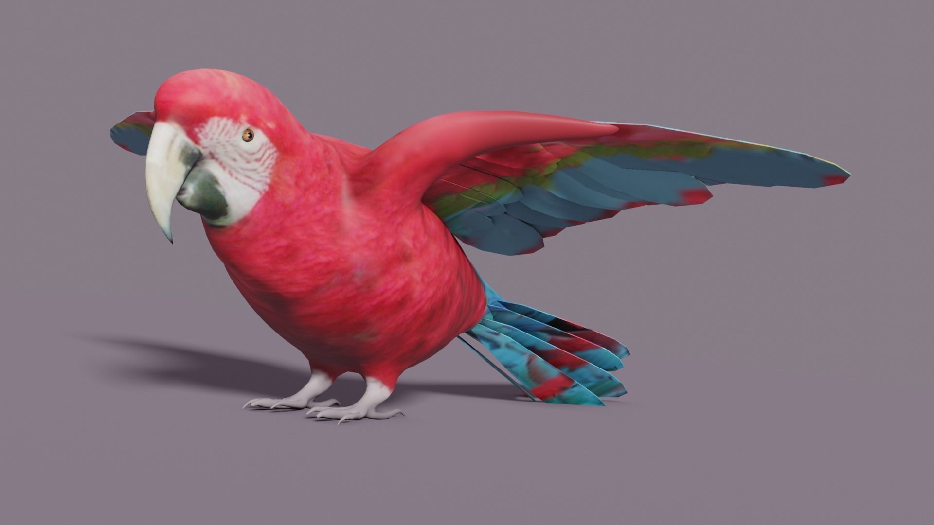 MACAW LOWPOLY parrot with wings spread Low-poly 3D model_20