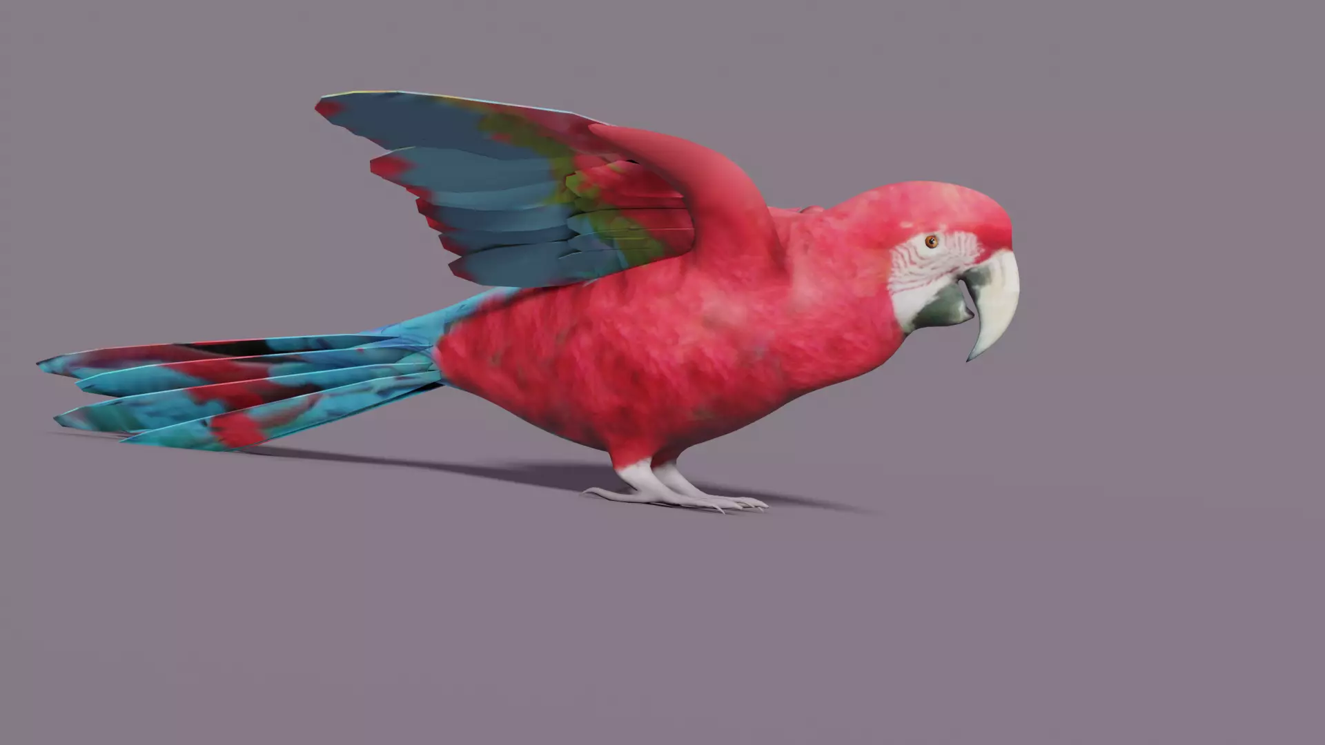 MACAW LOWPOLY parrot with wings spread Low-poly 3D model_0