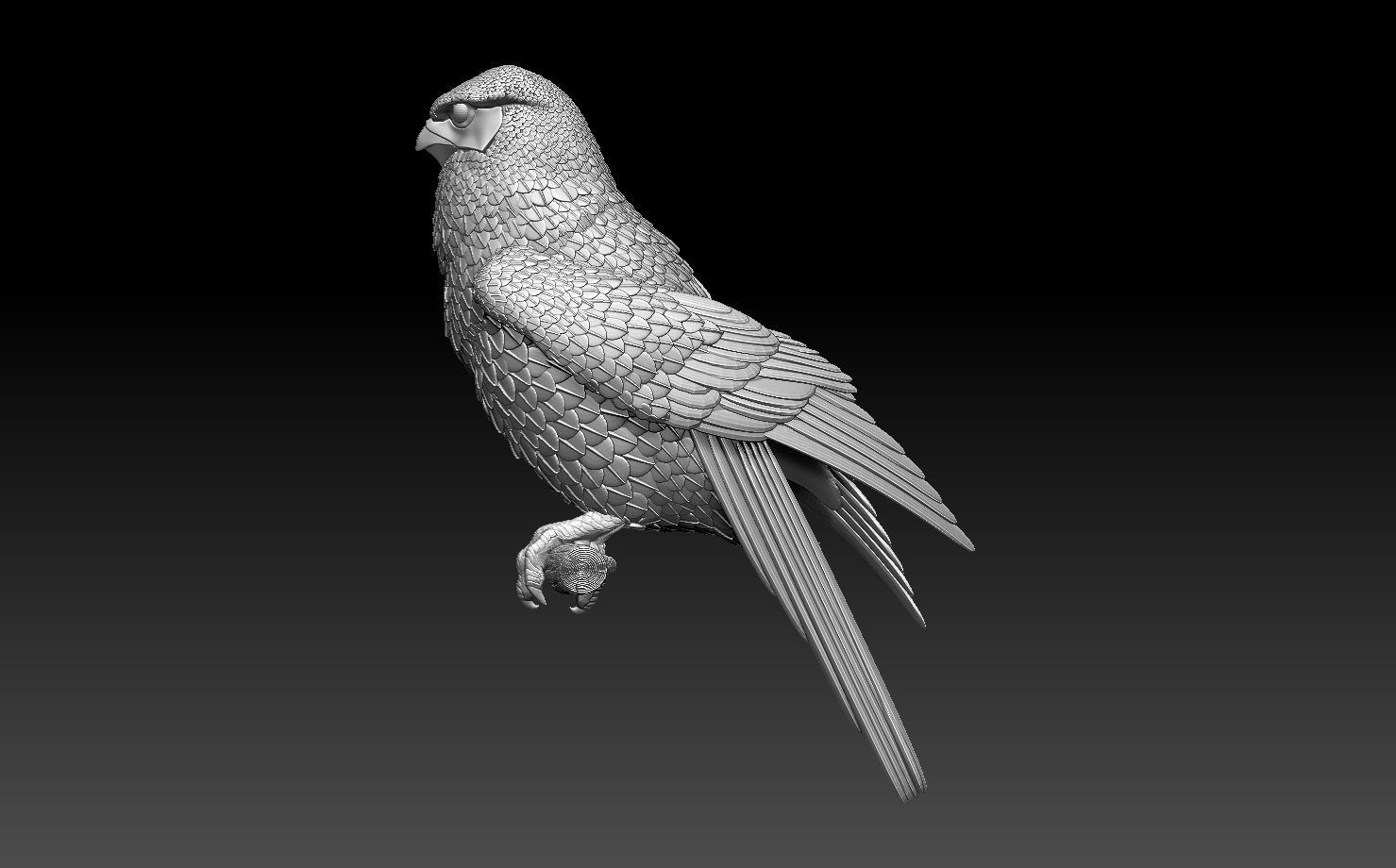 falcon  3D print model_2