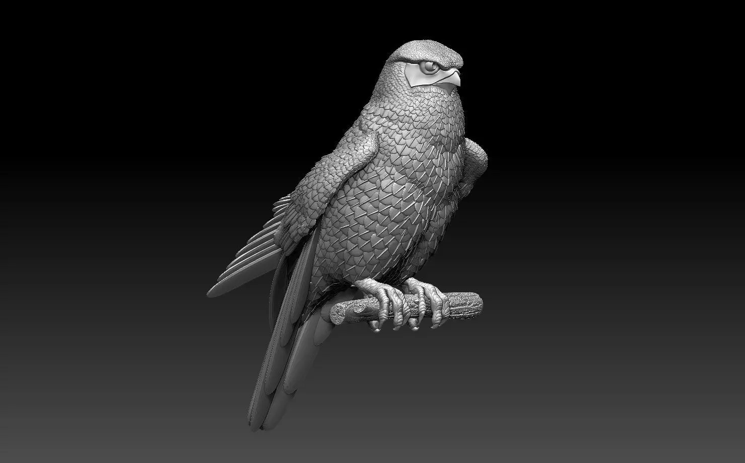 falcon  3D print model_0
