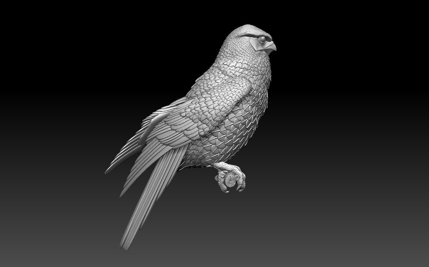 falcon  3D print model_5