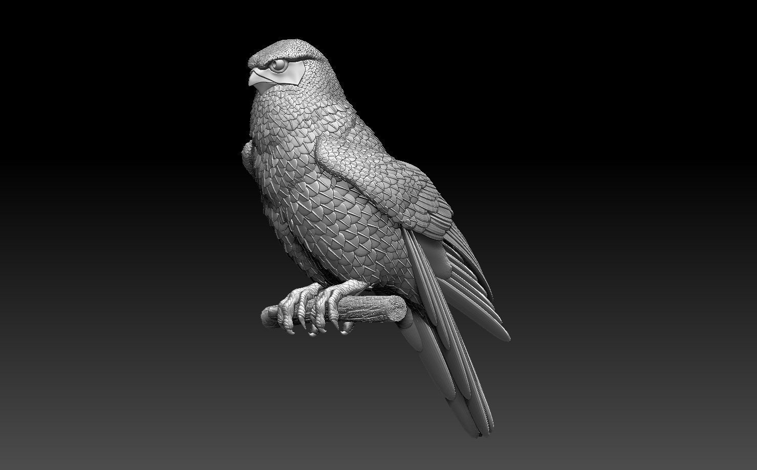 falcon  3D print model_1