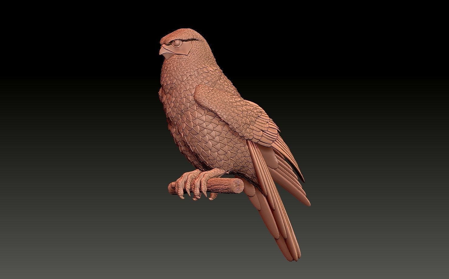 falcon  3D print model_3