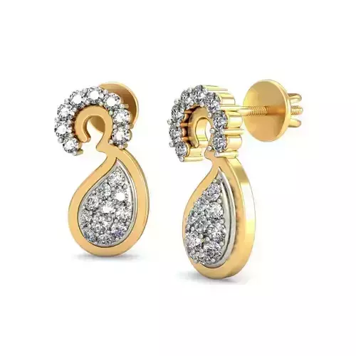 Earrings - 148
