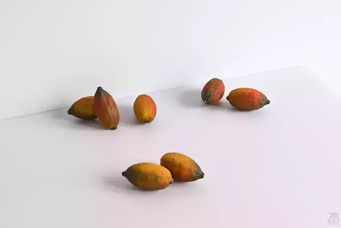 Lime  3D model