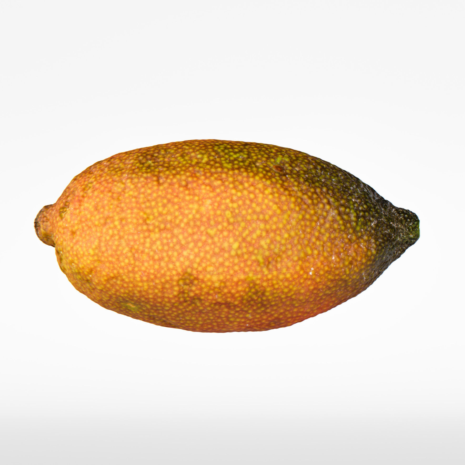 Lime  3D model_6