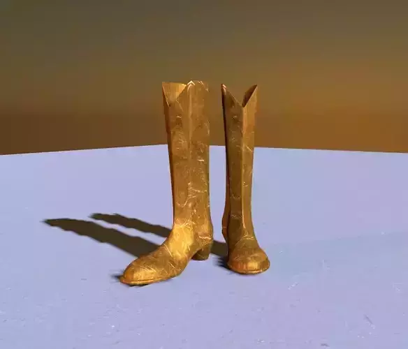 Long Boot 