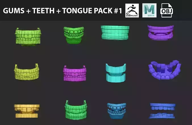 Ultimate Gums Teeth and Tongue Model Pack 1 3D model