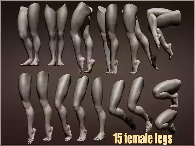 15 female leg poses 3D model