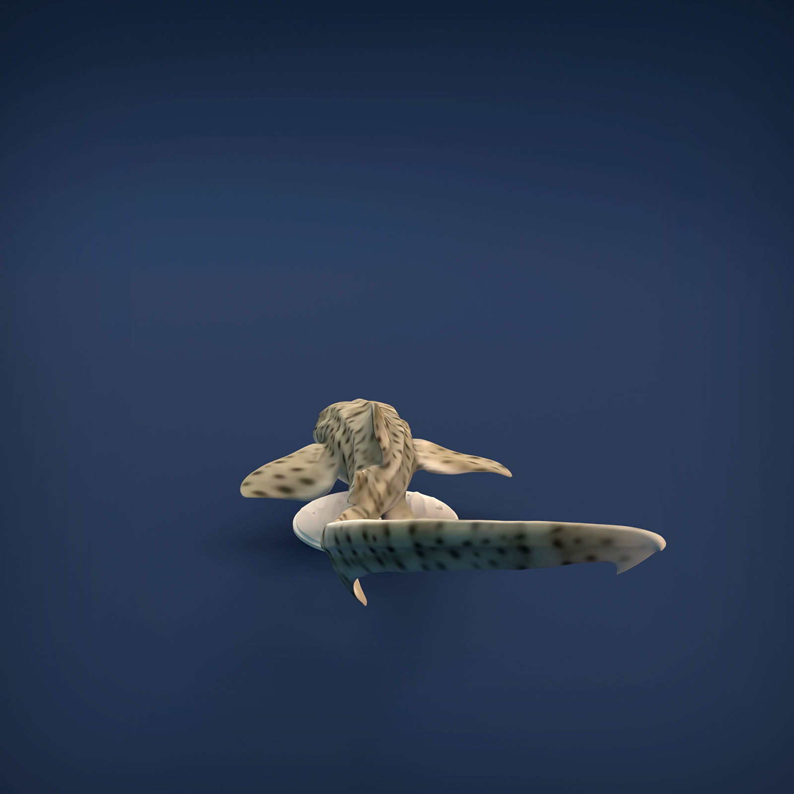 Zebra Shark for 3D printing 3D print model_3