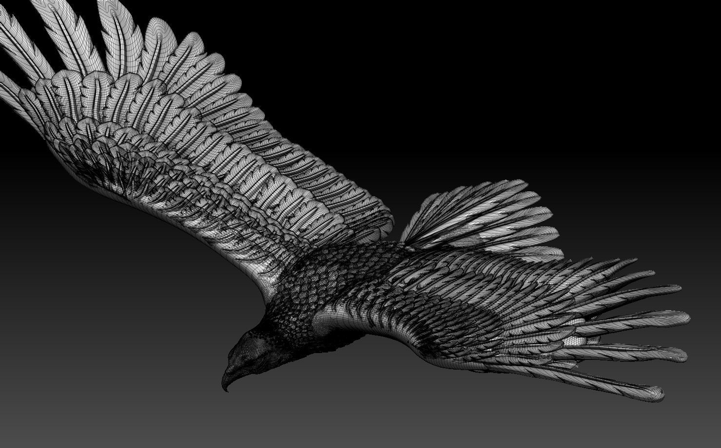 eagle in flight 3D print model_7