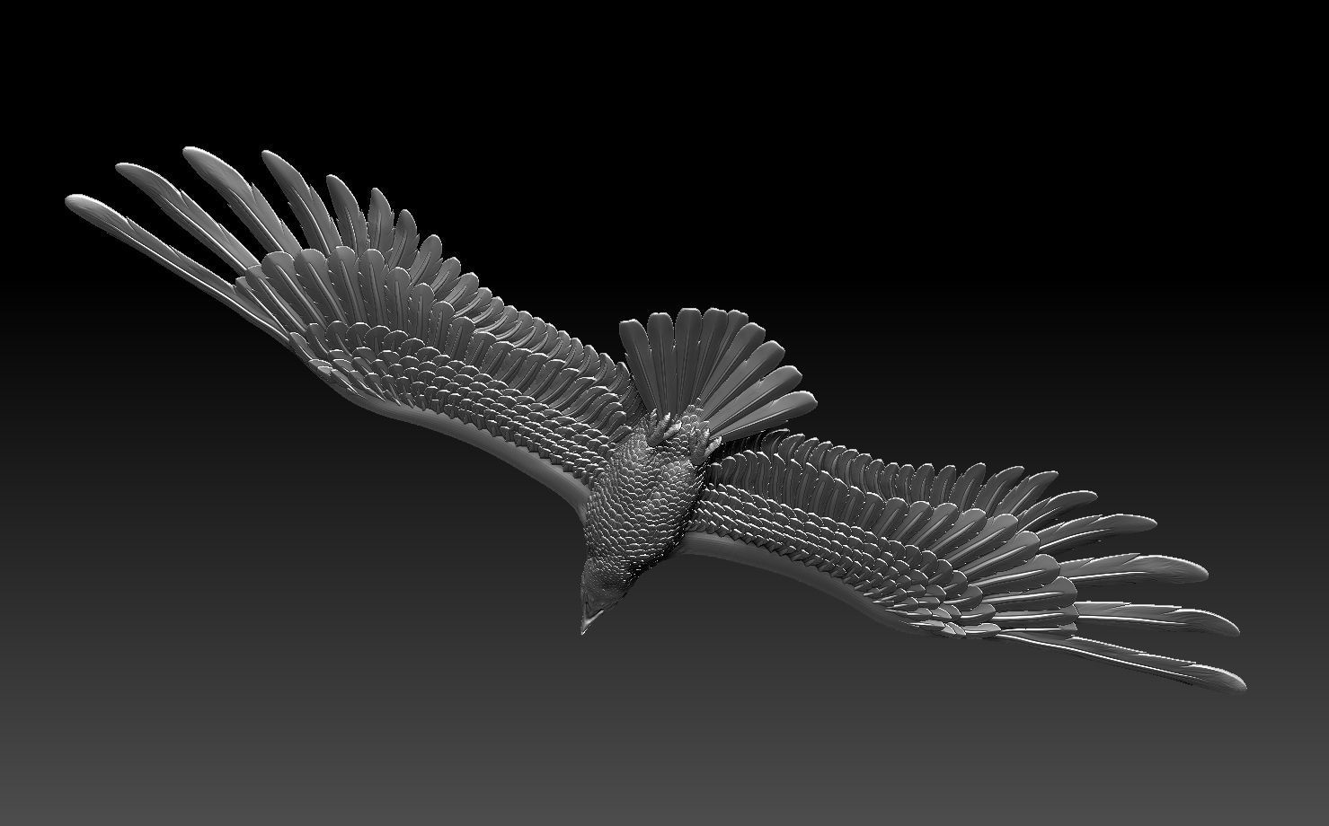 eagle in flight 3D print model_19