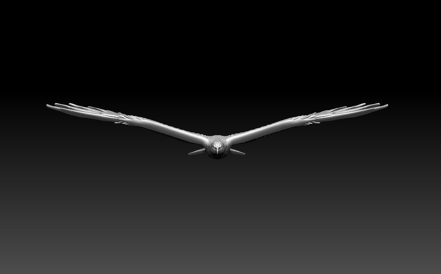 eagle in flight 3D print model_5