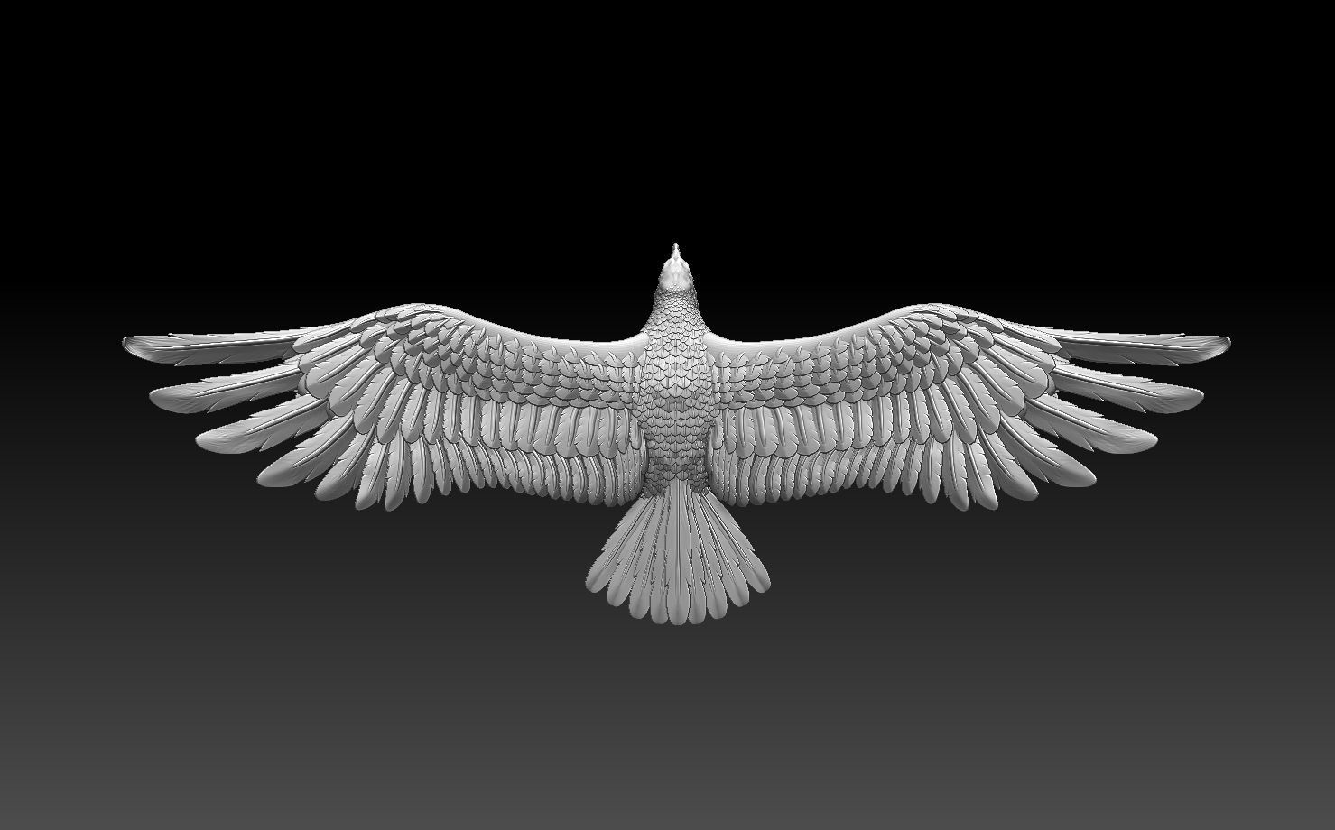 eagle in flight 3D print model_2