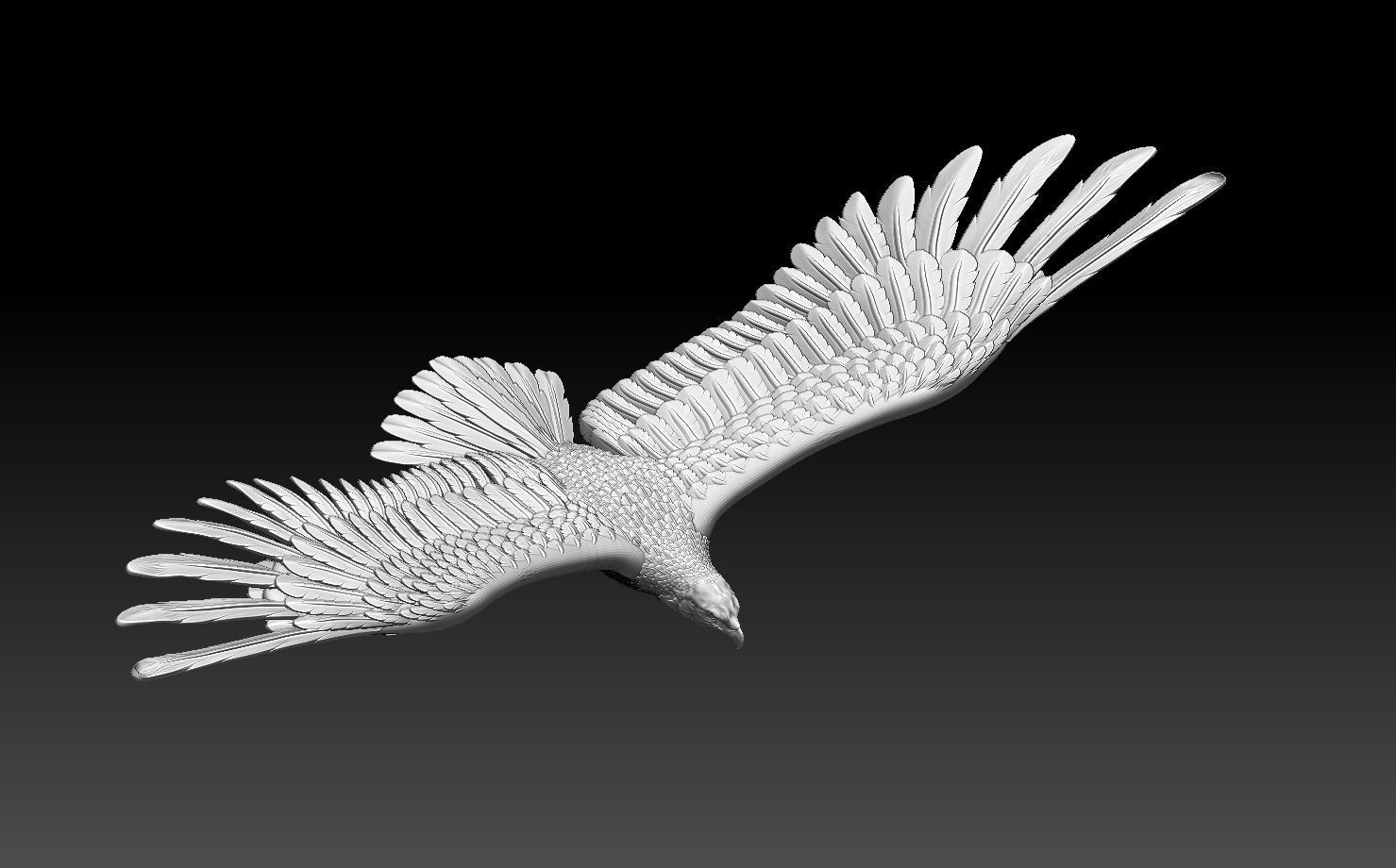 eagle in flight 3D print model_26
