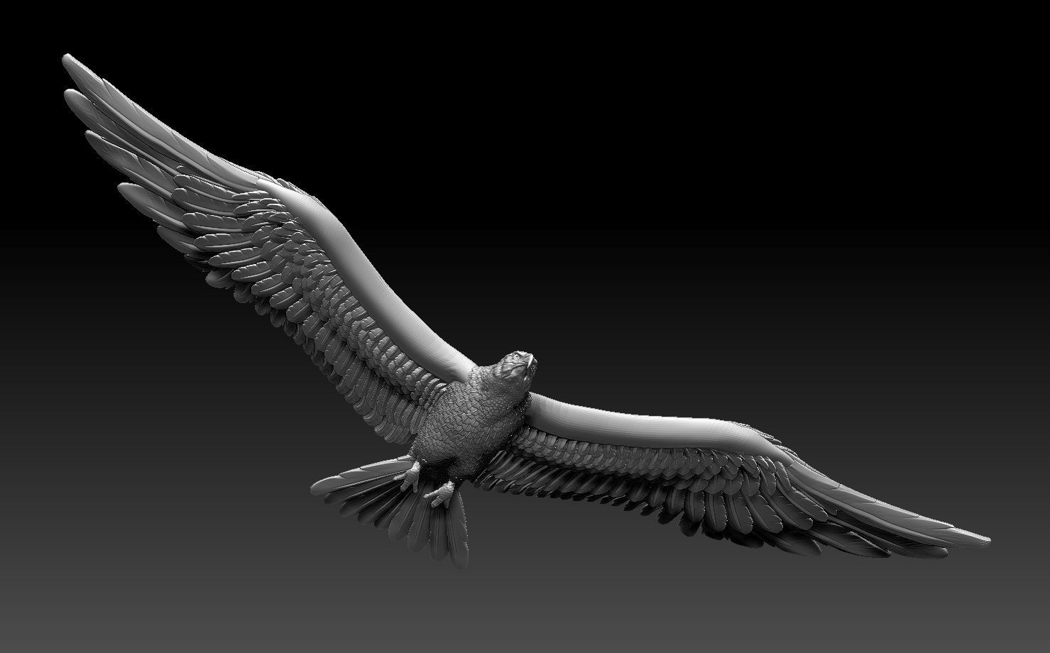 eagle in flight 3D print model_33