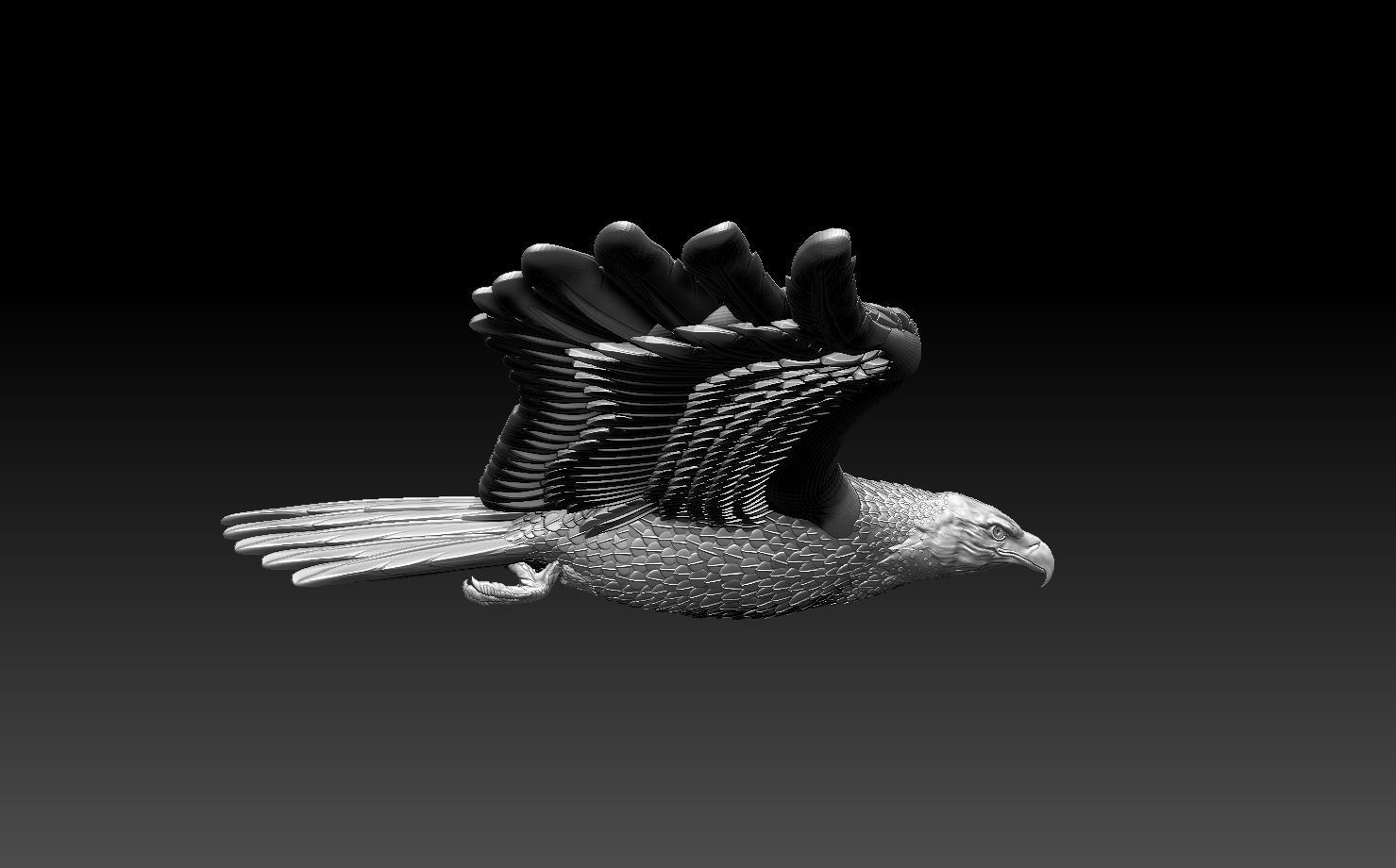 eagle in flight 3D print model_21