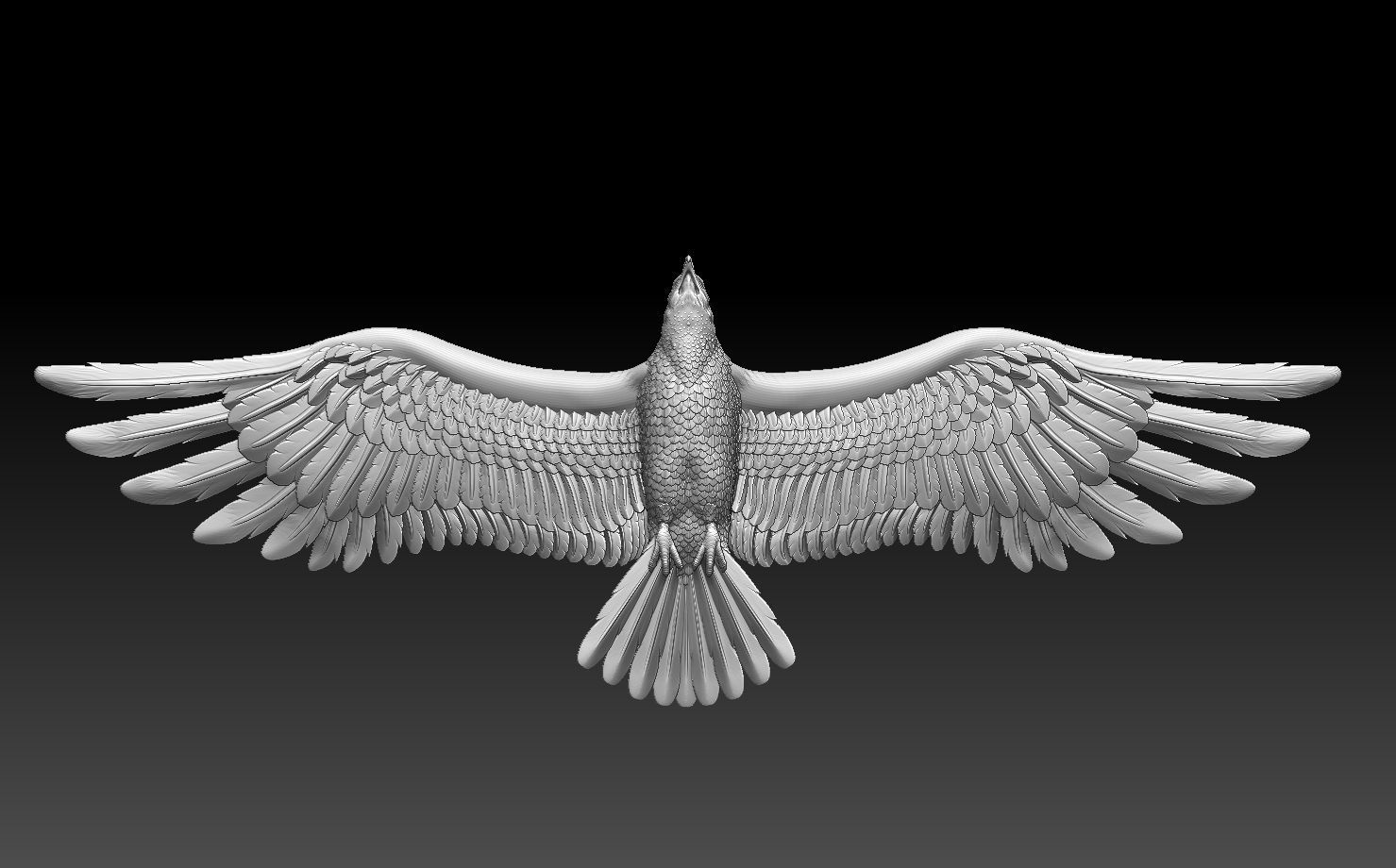 eagle in flight 3D print model_16