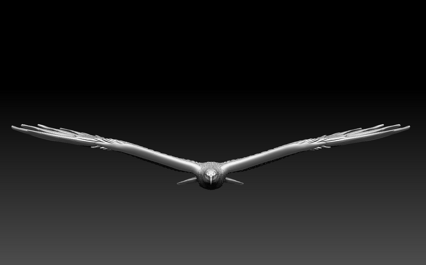 eagle in flight 3D print model_29