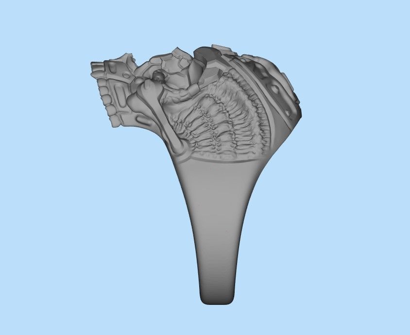 Biomechanical Skull Ring STL 3D print model_29